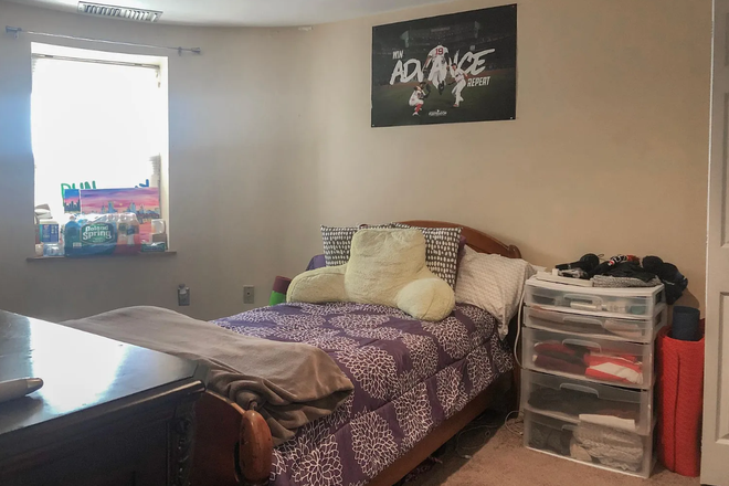 Your (potential) Bedroom! (previous tenant image) - Looking for a Roommate! Cozy Basement Unit near Symphony (10 minute T ride!) Apartments