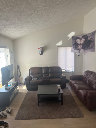 Main floor community space - Spartan Duplexes