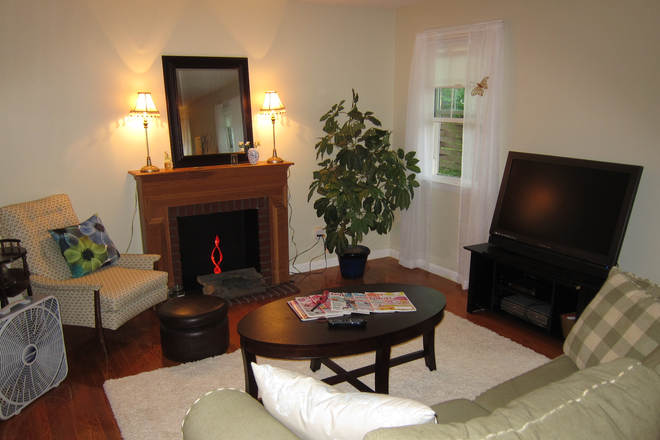 Living Room - Spacious One Bedroom in Great Setting Apartments