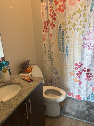 Bathroom - The Finmore at 241 Apartments