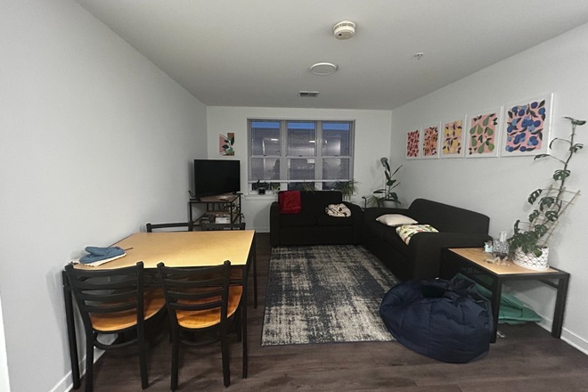 Living Room - South Campus Commons 4 - Apartment 4403