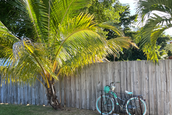 Backyard w/ bike rack and palm trees! - 4 Bedrooms in a Modern 4Bed/2Bath House -- 4 Blocks from Campus (Girls Only Please)
