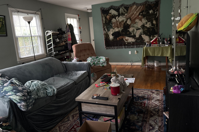 Living room - House on bus line (15 min to campus)