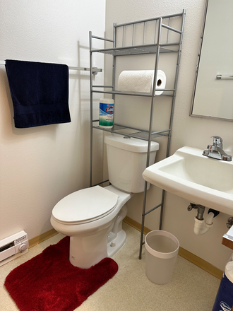 Toilet - Furnished House close to campus