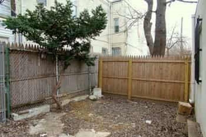 backyard - 7 Bedroom  House Steps From Campus