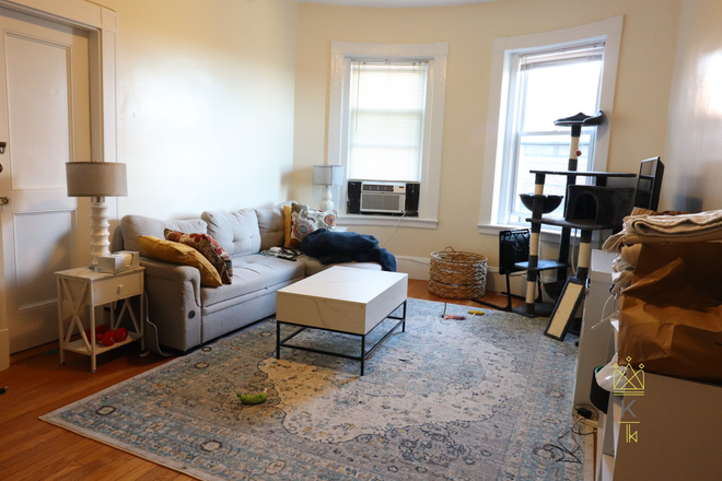 living room - Sunny upper floor Coolidge Corner 1 bed  for July 1st Apartments