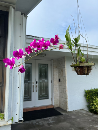 Entrance Doors - Walk to UM. 4 Bedroooms  3 Baths