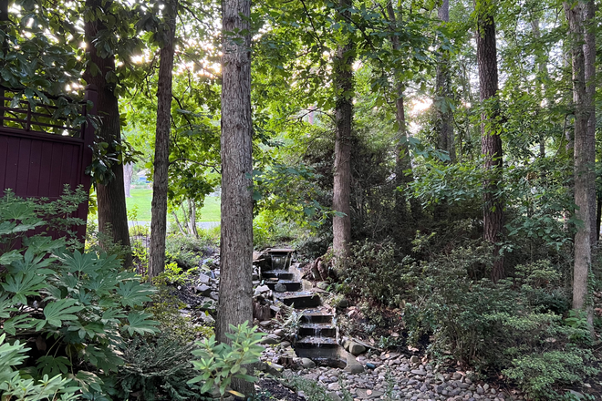 Exterior - Airy, spacious house near Duke, 2 big parks, green path, Farmer's market, &  downtown