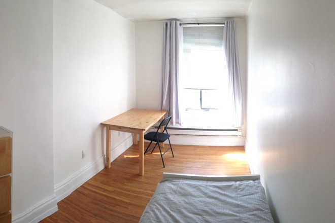 Bedroom on a sunny day. Southern exposure. - Beautiful sunny FURNISHED room in Koreatown/Seaton Village Apartments