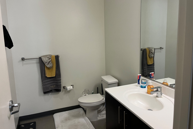 Shared bathroom - Fuse Apartments - one block from campus, close to engineering buildings. 1 bedroom in 4 be