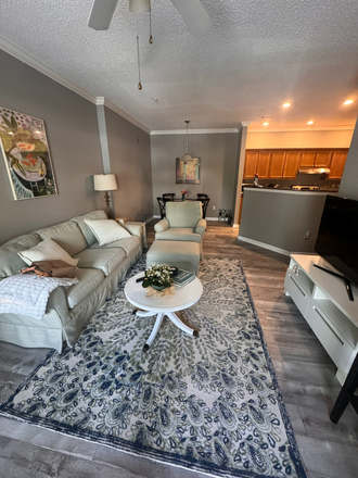 living room, fully furnished - Concord of West Ashley, 7 min drive to campus