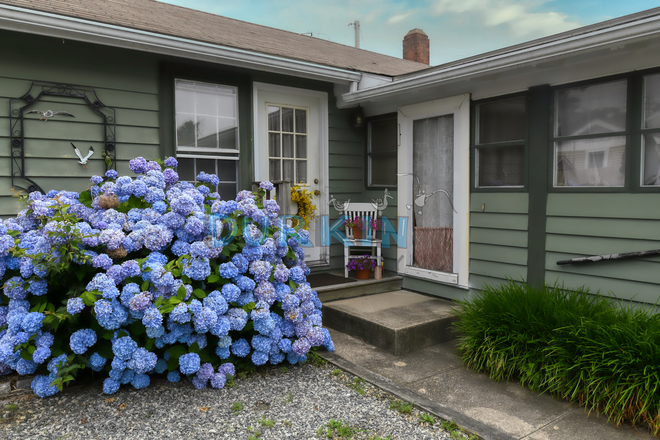 Front of house - Cute Cottage for 2 People, Commuter Friendly, walk to beach and stores