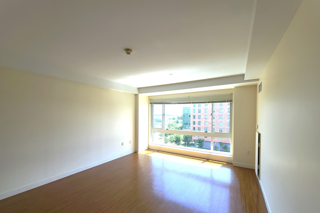 Living  Room with Amazing Light - **One Bedroom Plus Office Next to Campus!*** Luxury Living! Or use as a 2 Bedroom!