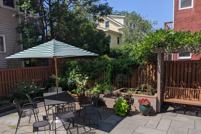 Shared patio/garden - Light-filled Cambridge 1 BR in well maintained owner occupied home, available May 1.