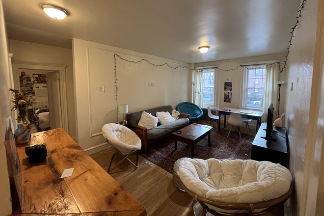 livingroom - CHESTNUT HILL BRIGHTON 3 BED CLOSE TO BC  09/01 COMMONWEALTH AVE Apartments