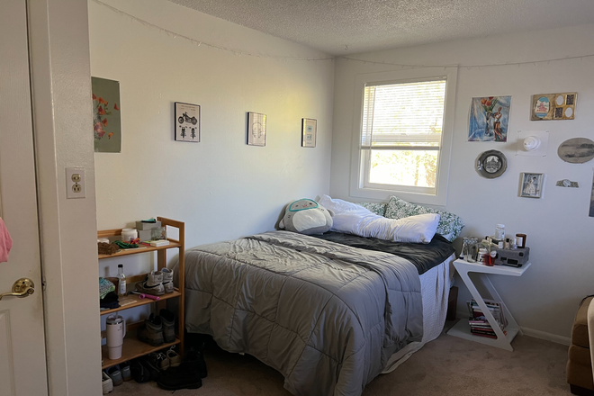 Bedroom view of bed and shelf unit - Sublet in House next to East Campus