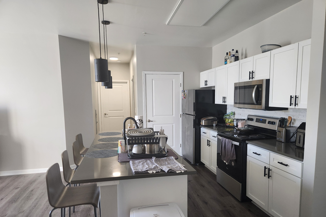 kitchen - The Province Apartment adjacent to CU Boulder main campus.