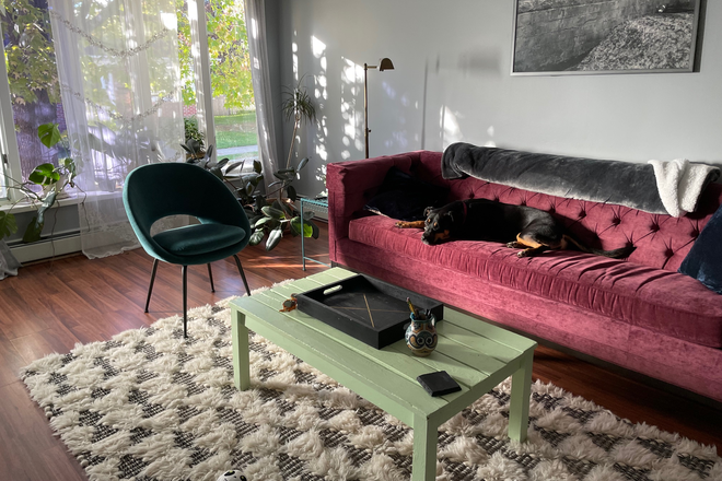 Living room furnished - Sunny 2 bedroom Duplex