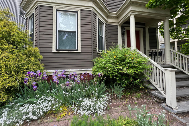 Front of House - Peters St Apartment-- No Fee