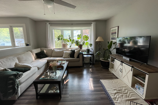 living room - 1 room available in 4BR/3BA house in Burlington (New North End)!