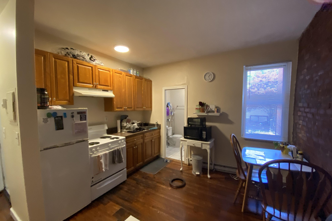 Hub Realty - Large one bedroom with big kitchen, handy to BU Medical & Dental