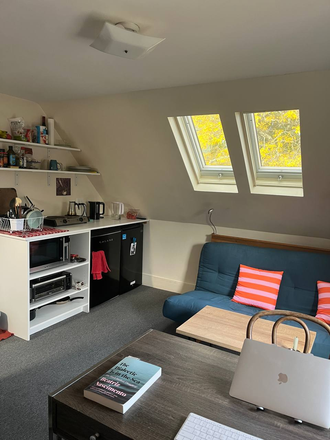 Living Room / Kitchen - Cozy Furnished Apartment for Sublet in Cambridge