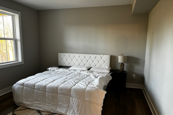 bedroom - New, 1000 sqft high end apartment walking distance to UVA and at the edge of the forest