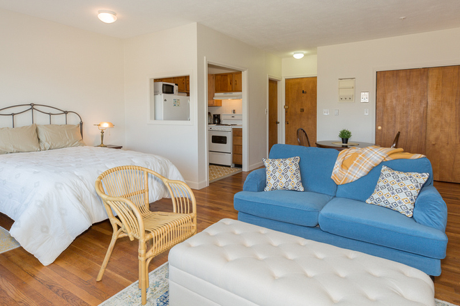 Living Bedroom Area - Classic Furnished Studio with Balcony and Charles River Views Apartments