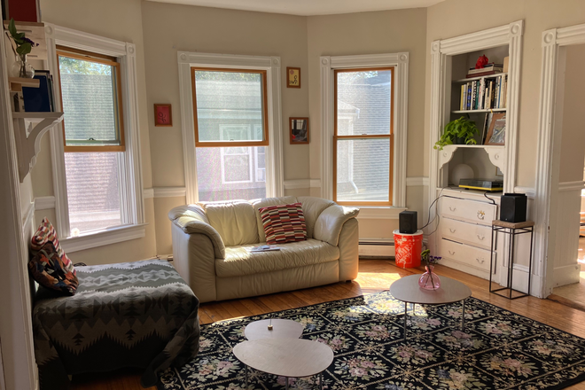 Living room - Room available in sunny Somerville (edge of Cambridge) apartment! Near Harvard.