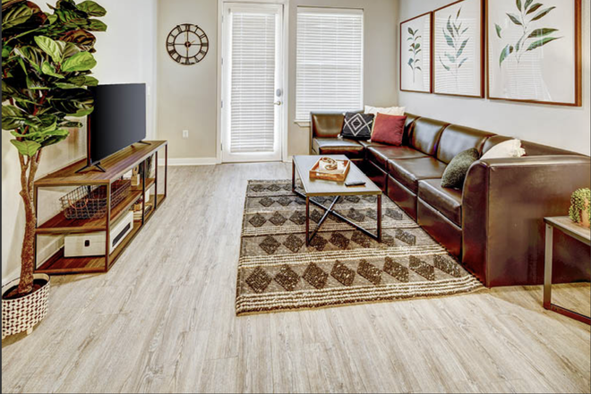 Living room - U Club Spring Term Sublease, pleasant view, nice amenities Apartments