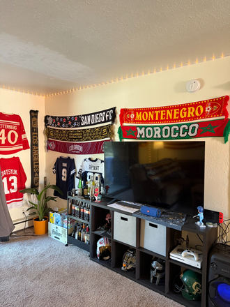 TV - Campus Townhouse