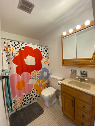 Bathroom - 607 W Wrightwood Ave. Apt. 613 Summer Sublease