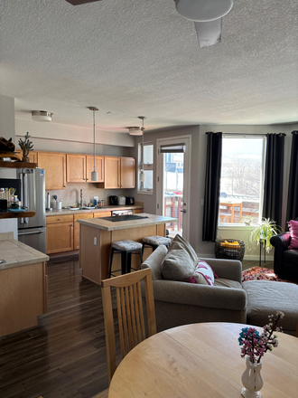 Kitchen & Living Room - Beautiful 2 BR/3 BA Condo
