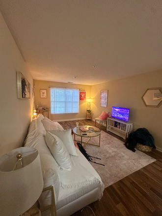 Living room - Mountaineer Village Apartment