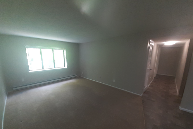 Living room - Spacious 3rd floor 2 bed, 2 Bath apartment close to campus and Wayland Square.  Available NOW!