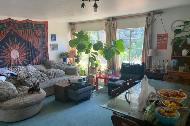 downstairs living room - Beautiful Mediterranean home with 8 bedrooms 4 baths 1 block from UCB