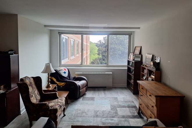 Living Room - 1 BR/1 BA apartment in Arlington between Rosslyn and Court House