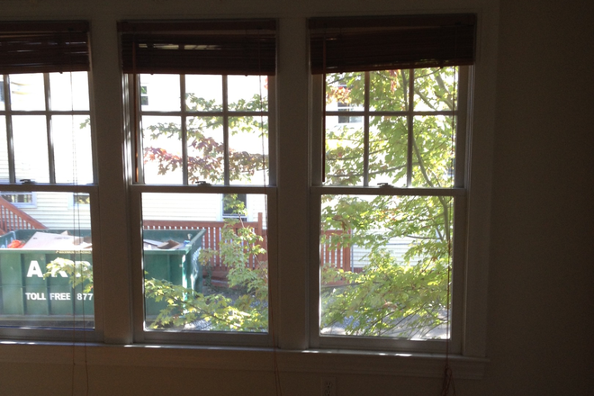 bedroom - NO FEES, FURNISHED SUNNY STUDIO, STEPS TO HARVARD, BIKE TO MIT
