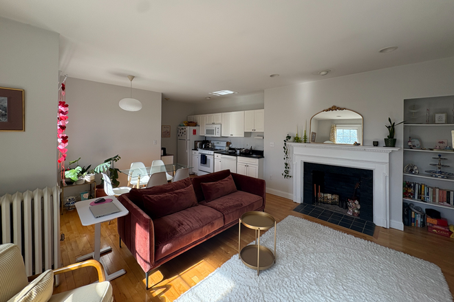 Kitchen - Bright apartment close to campus