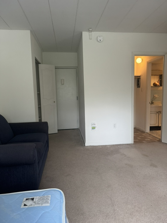 Livingroom - Logan 209, Parkway Plaza Student Apartment