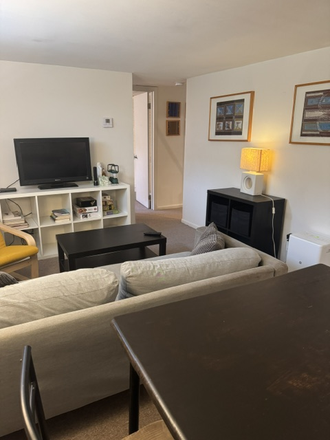 Living room - 2BD Basement Apt. walking distance to Nassau and University