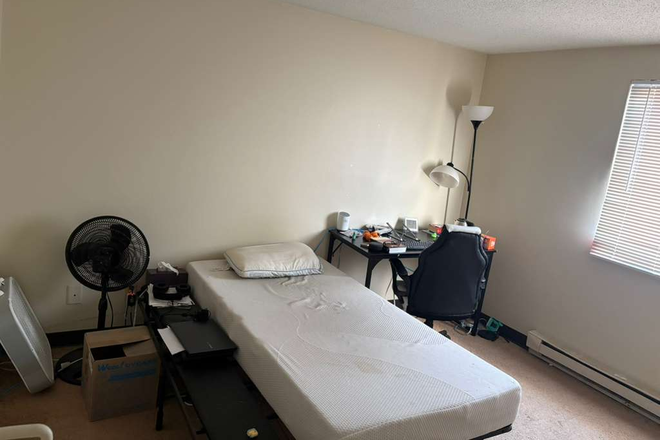 Bedroom - Summer sublet Apartments