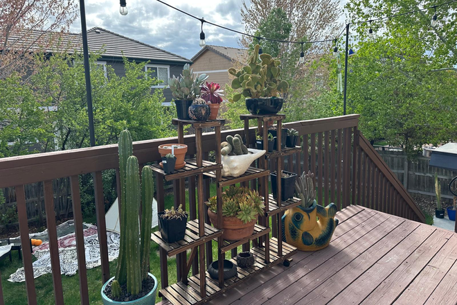 Porch - Erie House :)