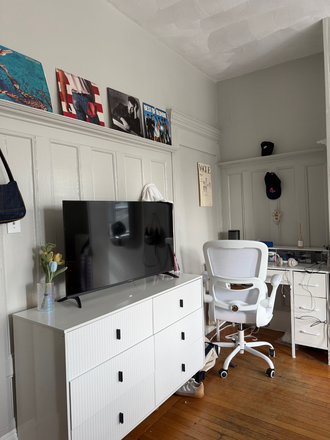 bedroom - Large apartment with private room in great location. 25 minute walk or transit to Northeaster