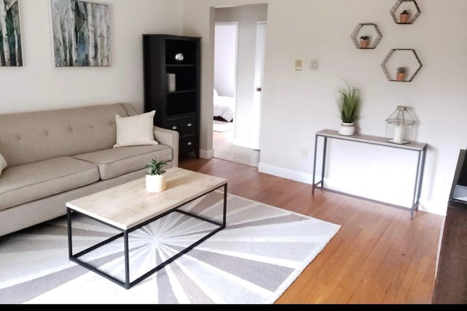 Living Room - 2 Bedroom 1 Bathroom Apartment