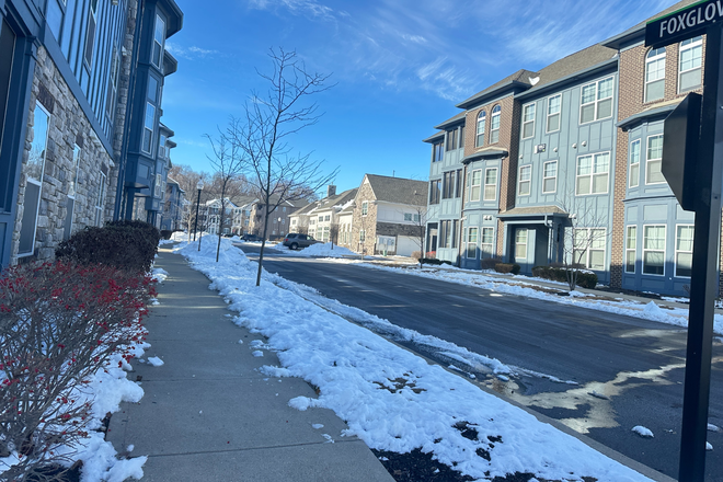 pls see the youtube video tour - The Ivy Towns + Flats Apartments