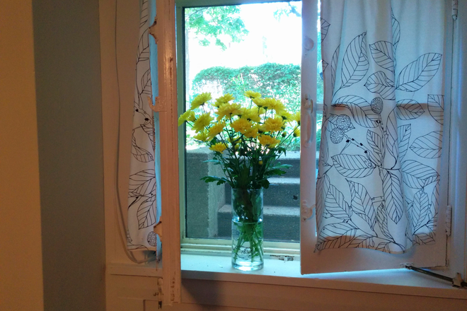 Bedroom window - Cheerful one-bedroom basement Seaton Village/Annex neighborhood