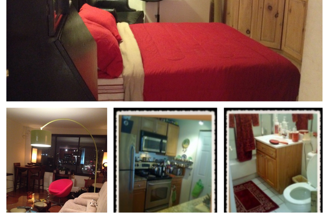  Bedroom and private bath , living room , kitchen  - Room with a view! 1 Bedroom with private bath in 2br/2ba apt