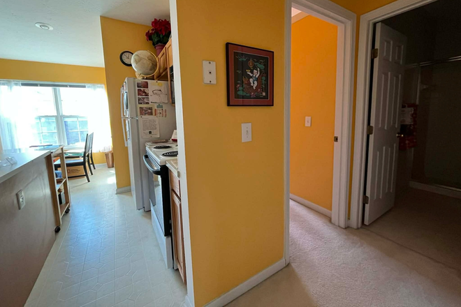 Hallway between the bedroom/bathroom and kitchen - Furnished private room & bathroom in shared living/workspace in Mt. Airy/College Hill Condo