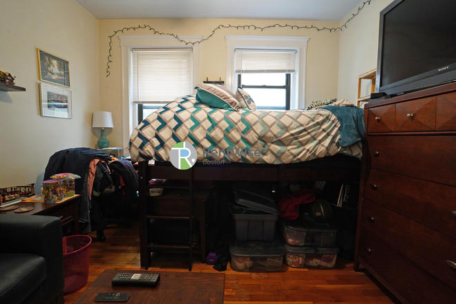 1 - JUNE 2026-Great Studio in Brighton! H/HW inc. Easy MBTA, Cat ok-NO FEE Apartments
